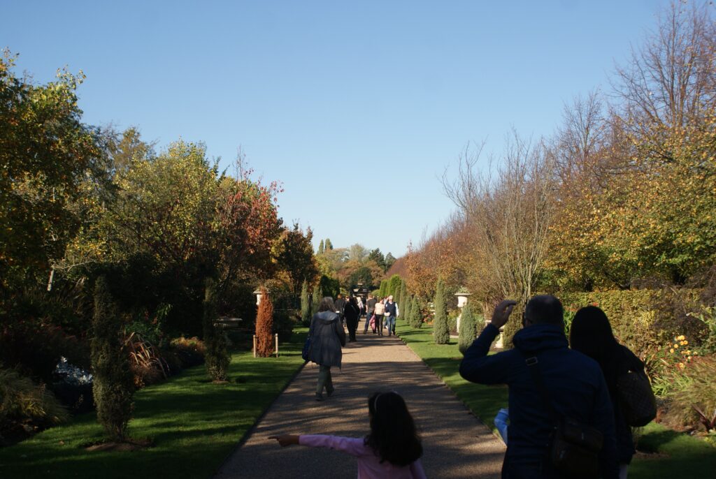The Broad Walk in Regent’s Park in autumn