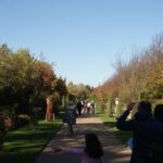 The Broad Walk in Regent’s Park in autumn