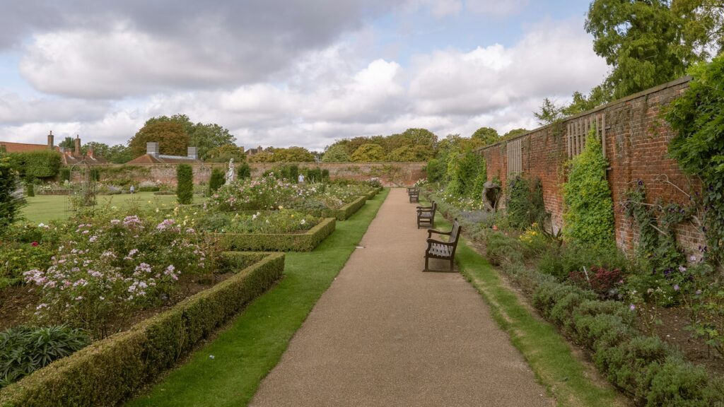 A garden path between long hedges at Hampton Court