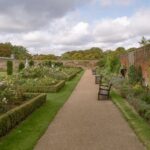 A garden path between long hedges at Hampton Court