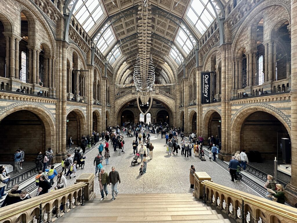 Hintze Hall at the Natural History Museum