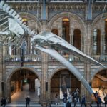 A dinosaur skeleton in a busy museum hall