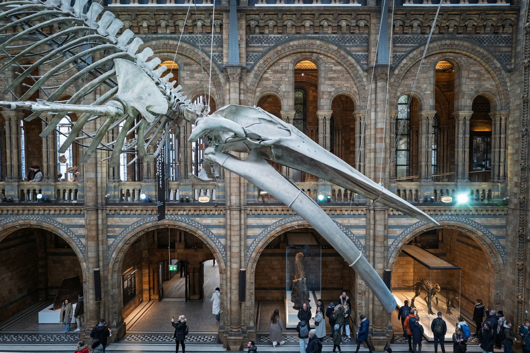 A dinosaur skeleton in a busy museum hall